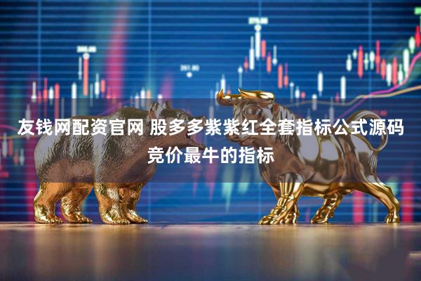 友钱网配资官网 股多多紫紫红全套指标公式源码竞价最牛的指标