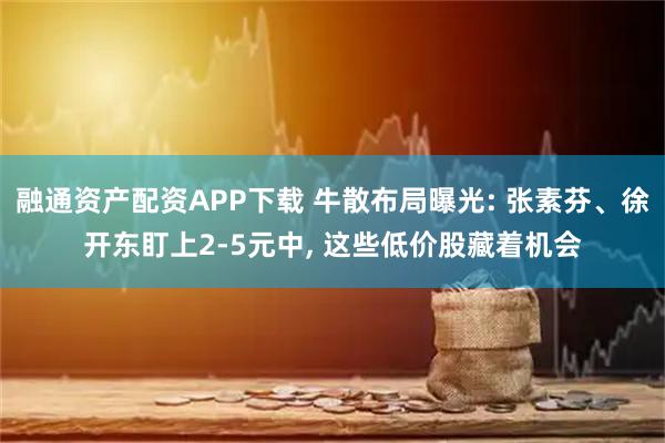 融通资产配资APP下载 牛散布局曝光: 张素芬、徐开东盯上2-5元中, 这些低价股藏着机会
